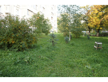 DSC05908.JPG