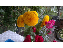 2014-08-30-1085.jpg