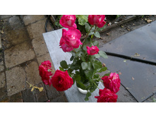 2014-08-30-1092.jpg