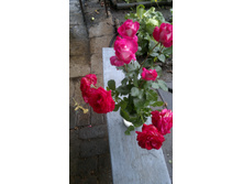 2014-08-30-1093.jpg