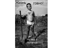 102777957-getimage-25.jpeg