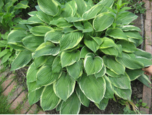 �����-70���