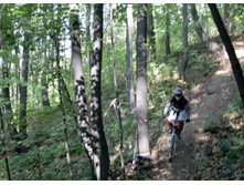 IMG_7126 �����.jpg