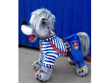 ���� ������ 630 ���.jpg