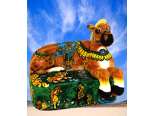 ����� ���� ��� 810 ���(80�70��).jpg