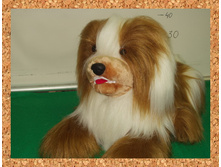 ������- ���������.jpg