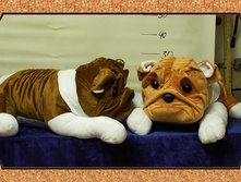 ������-���� (���).jpg