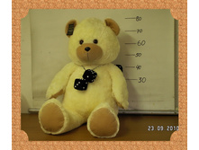 �������- ����� � ��������.jpg