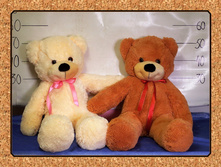 �������-����� (80).jpg