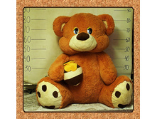 �������-� ͣ��� (�������).jpg