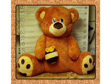 �������-� ͣ���(������).jpg