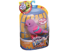 1024�+ ��� %