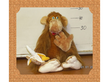 ��������-�������� � �������.jpg