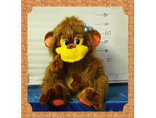 ��������-����� (���)���������.jpg