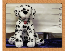 ������- ��� (1).jpg