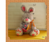 ����-� �������.jpg