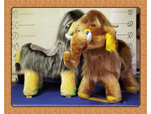 �������-������ (���������).jpg