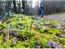 ��������� 06.01.2014 17.31.jpg