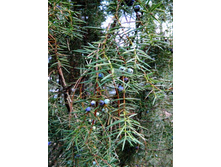 ��������� 06.01.2014 17.39.jpg