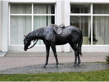 ��������� 10.01.2014 16.20.jpg