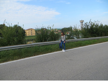 596.JPG