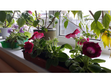 20140928_104817.jpg