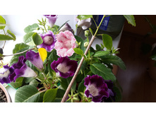 20140928_104829.jpg