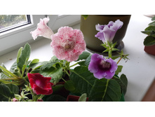 20140928_104756.jpg