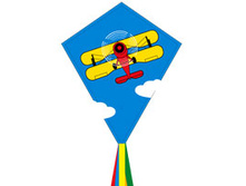 Mini-Eddy Biplane_250+%