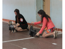 1-IMG_3180.JPG