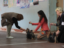 1-IMG_3185.JPG