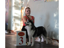 1-IMG_3201.JPG