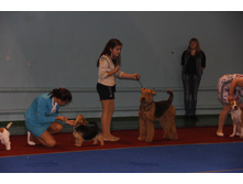 5417fed17e80f_img3119.jpg