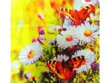 ������-�������� MS-85-1.jpg