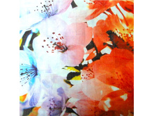 ������-�������� MS-211-1.jpg