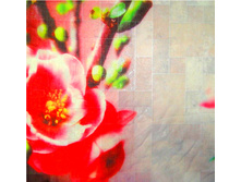 ������-�������� MS-06-1.jpg