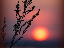 ������� ������1 18���.jpg