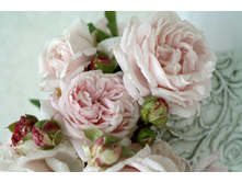 ���� Constanze Mozart-11,25.jpg