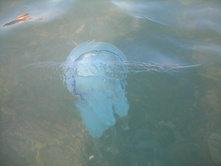 DSCN3641.JPG