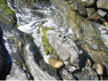 DSCN3776.JPG