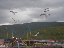 DSCN3964.JPG