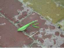 DSCN3663.JPG
