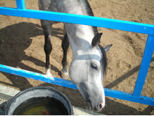 DSCN3859.JPG