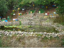DSCN3874.JPG