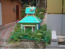 DSCN3878.JPG