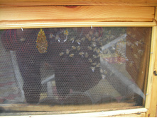 DSCN3883.JPG