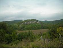 DSCN3769.JPG
