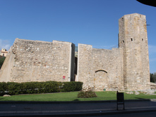 IMG_5178.JPG