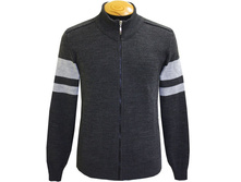 501-CZ-����.