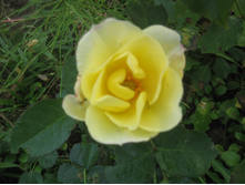 �������� ������ ����� �����